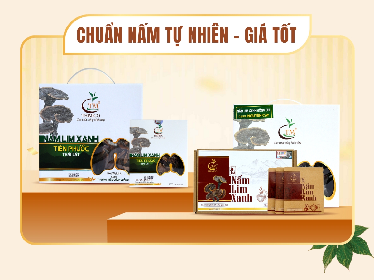 Nấm Lim Xanh ở đ&acirc;u tốt nhất? Th&ocirc;ng tin bạn cần biết trước khi mua